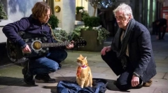 Колекција на филмови на светскиот ден на милениче